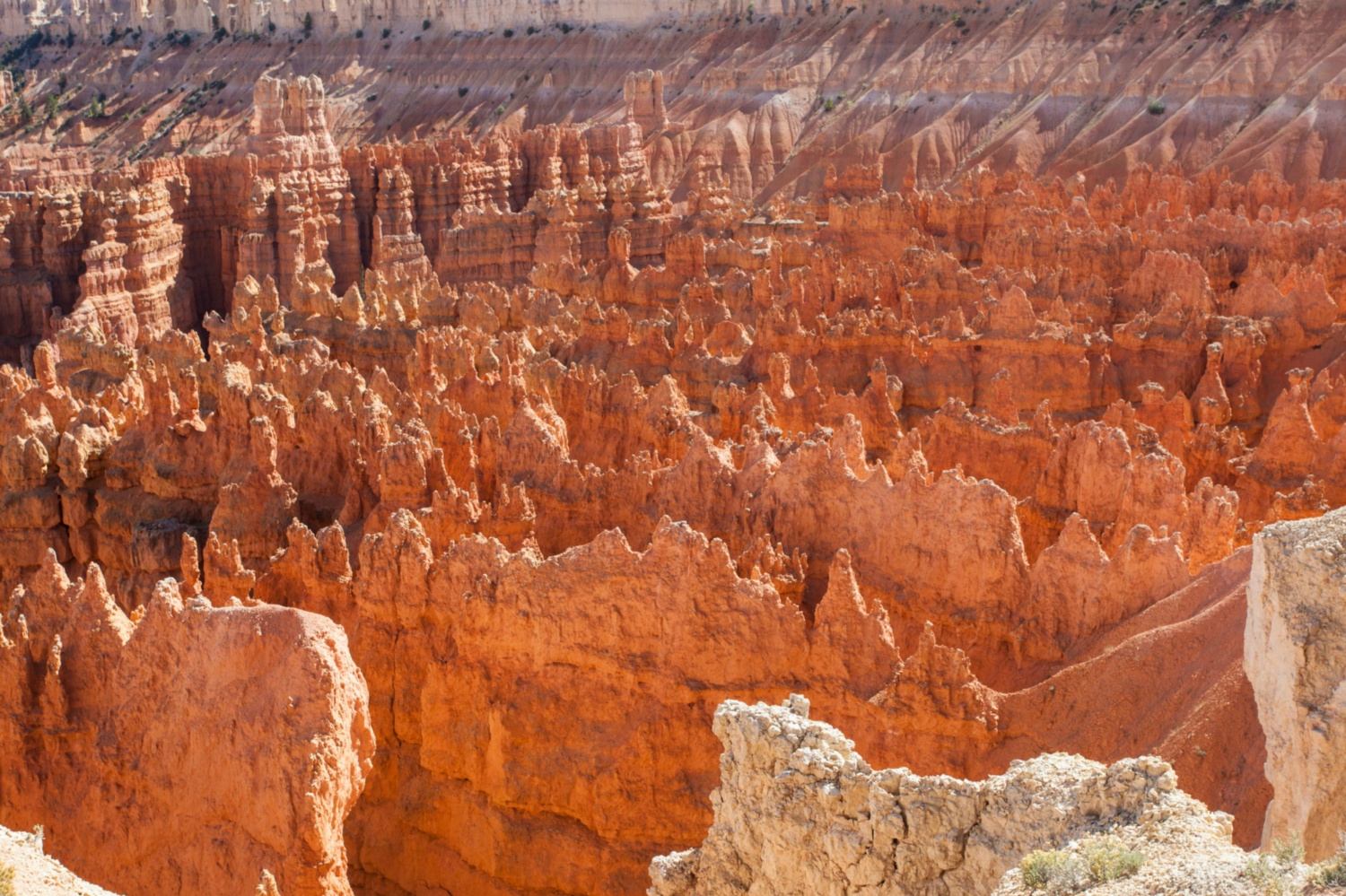 USA_Bryce Canyon_023